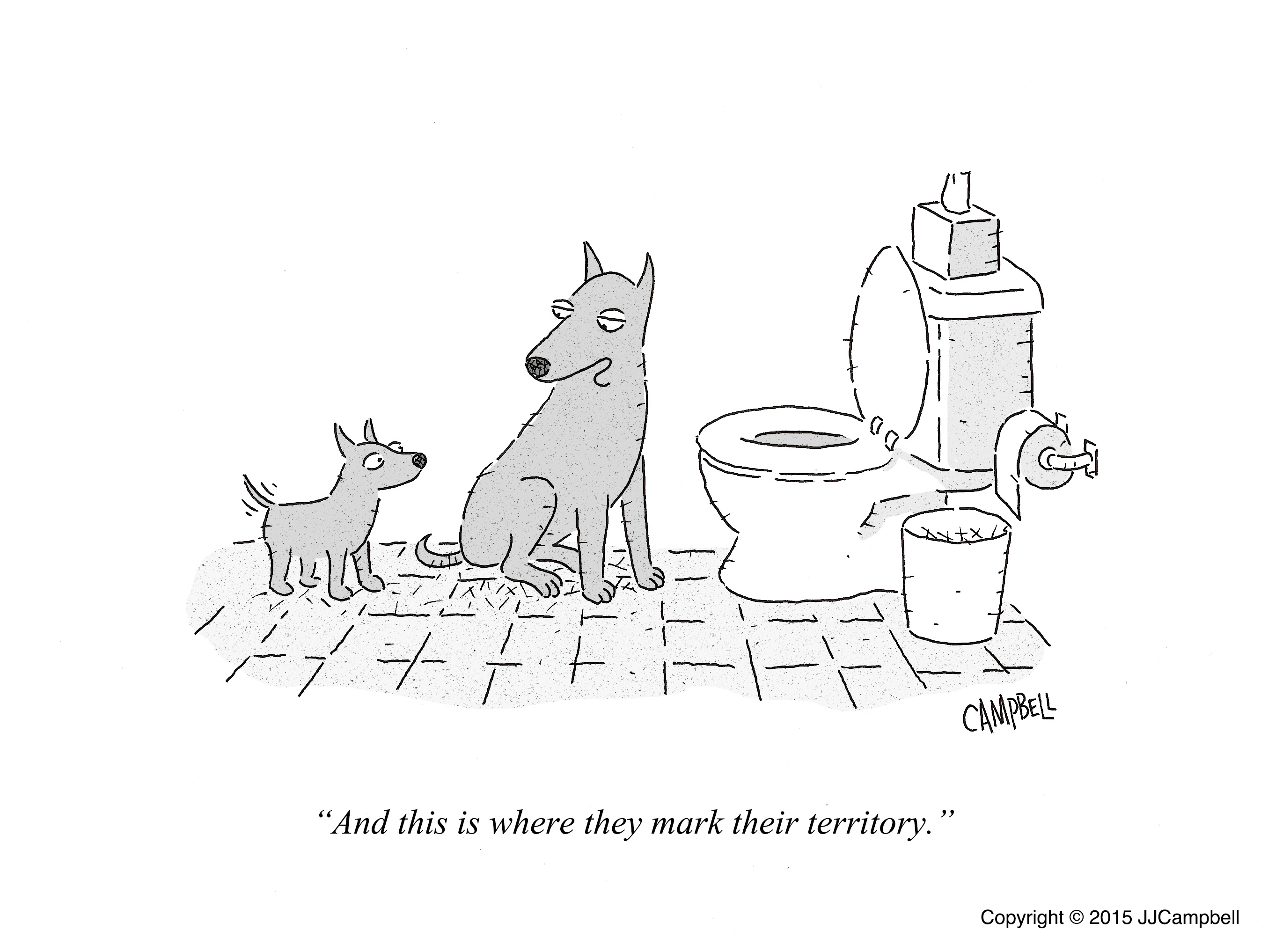 0023-territory-T