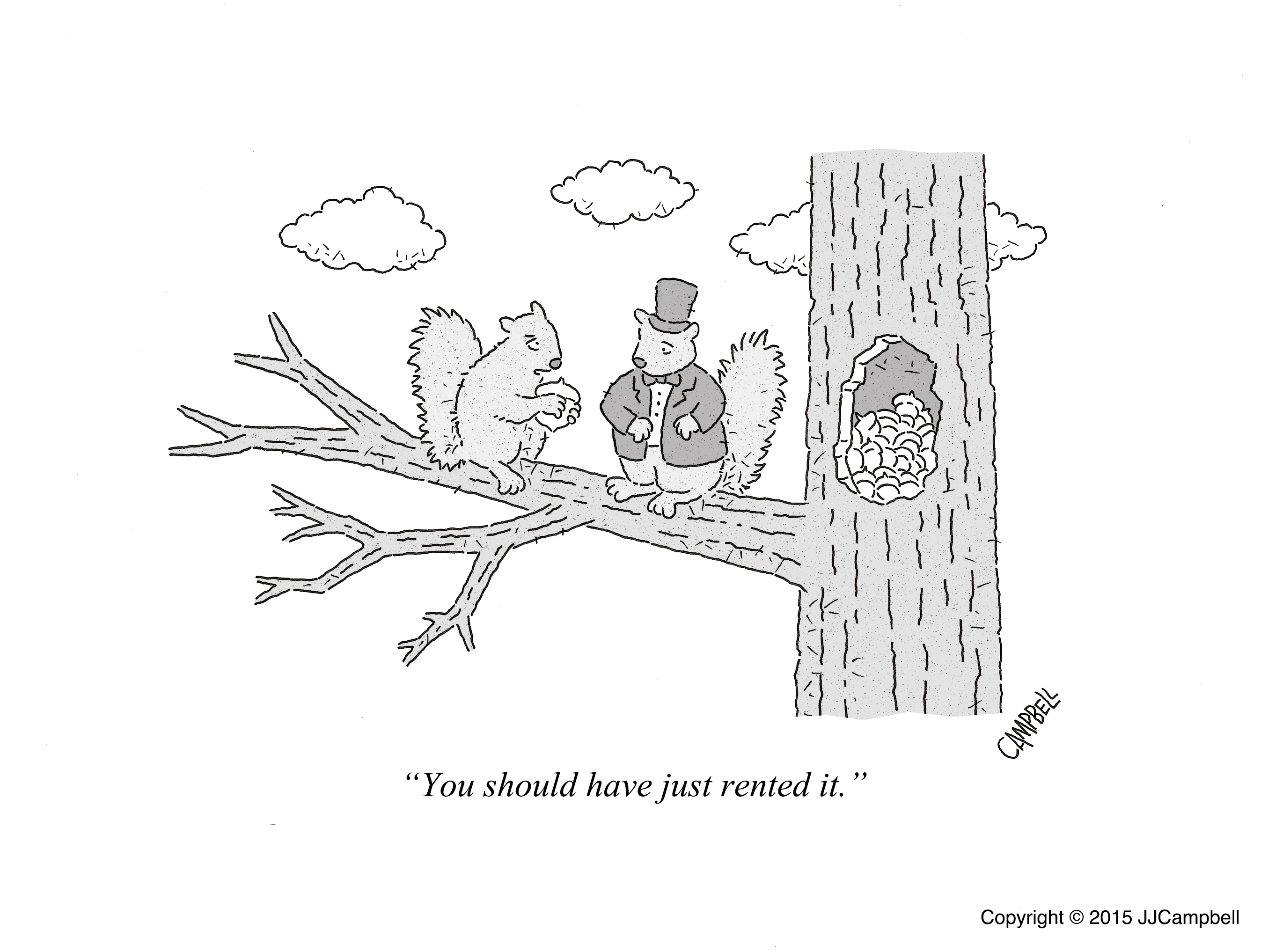 0039-squirrel1-T