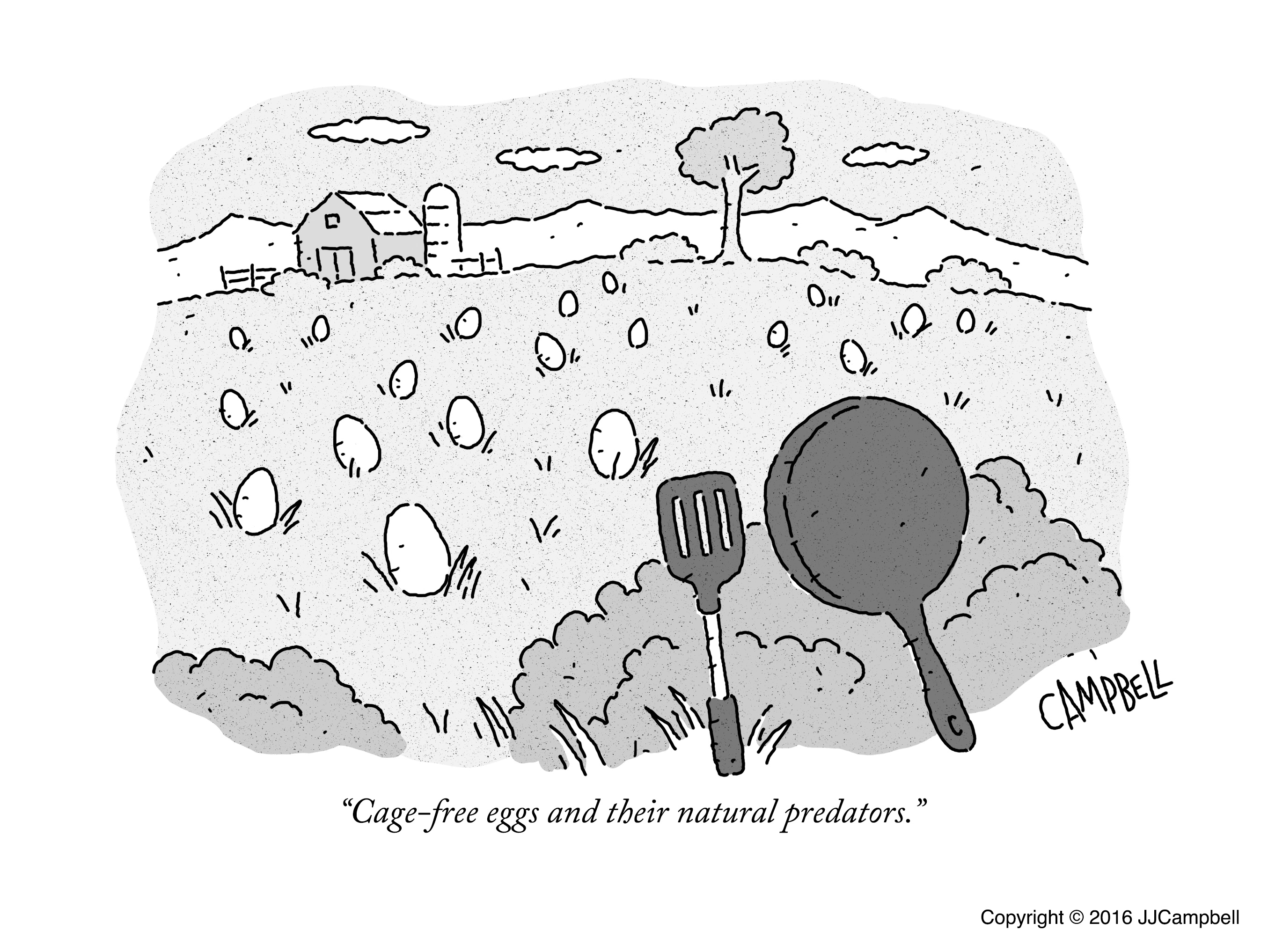 0062-Cage_free_eggs